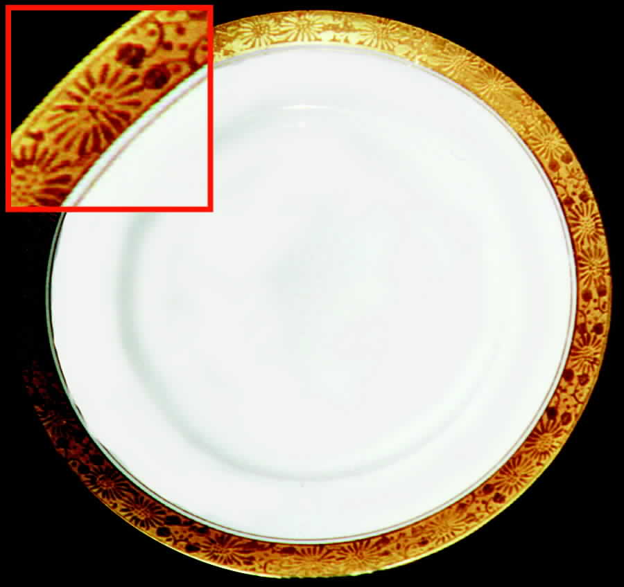 HUT532 Dinner Plate by Hutschenreuther-1