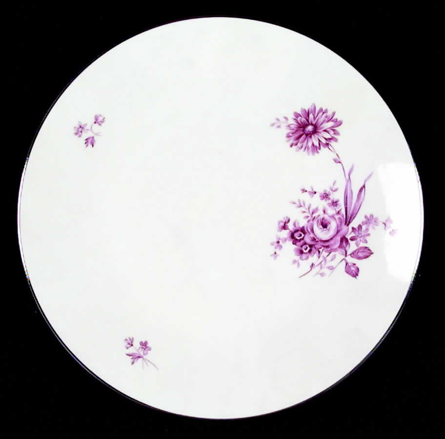 HUT54 Dinner Plate by Hutschenreuther-1