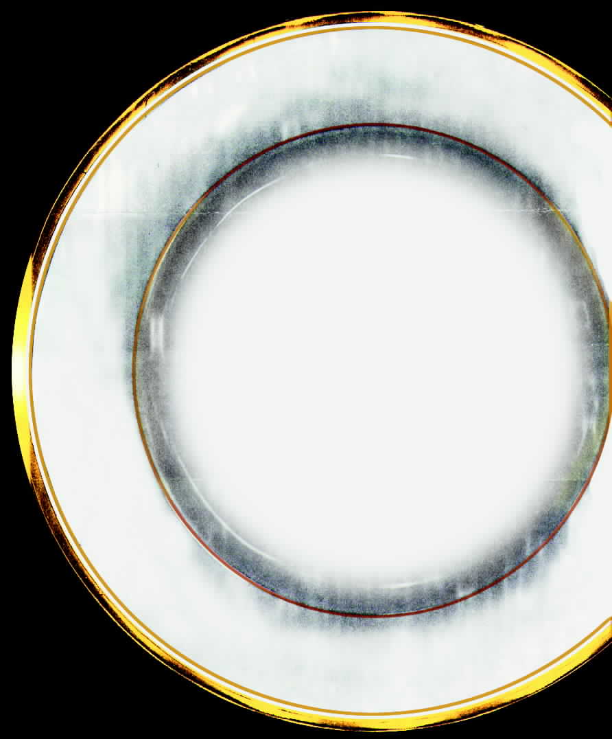 HUT541 Dinner Plate by Hutschenreuther-1