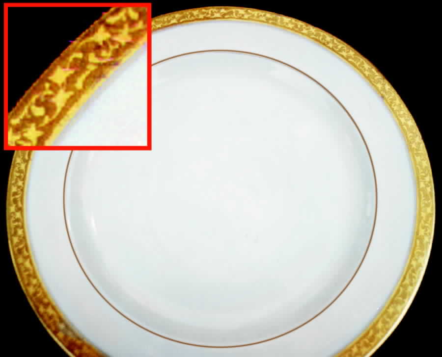 HUT545 Dinner Plate by Hutschenreuther-1