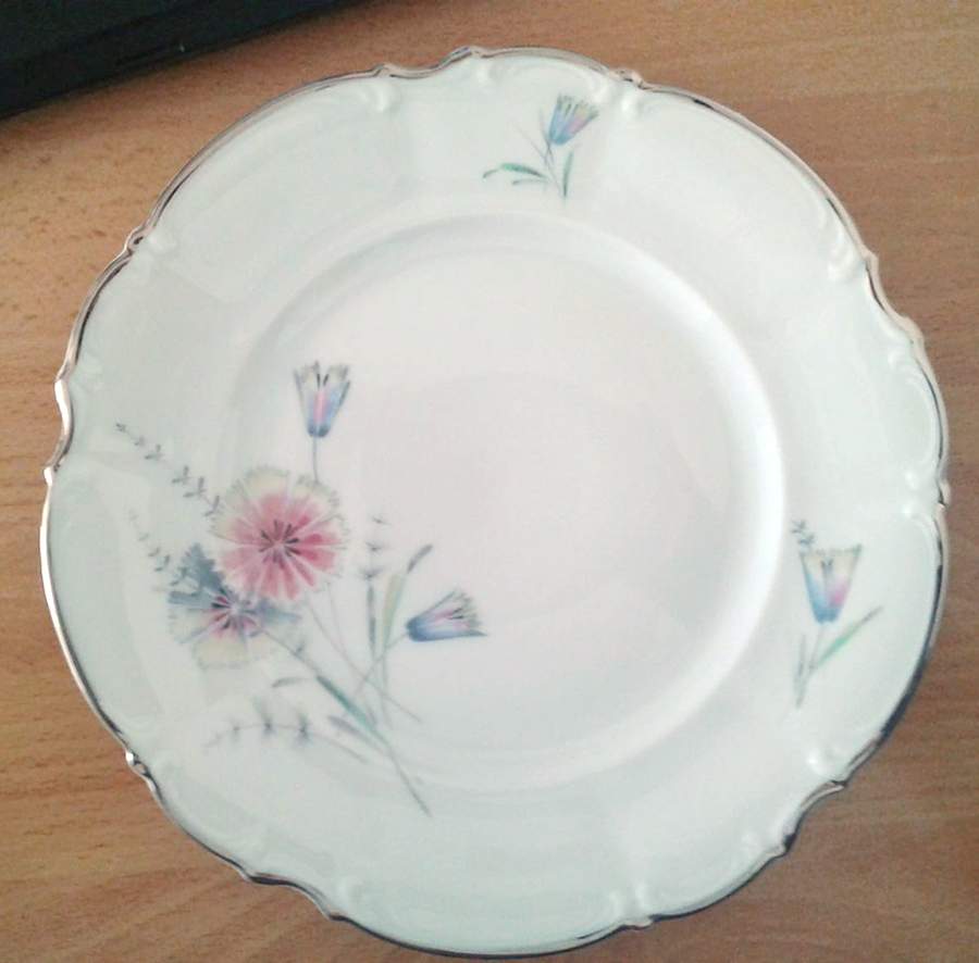HUT557 Dinner Plate by Hutschenreuther-1