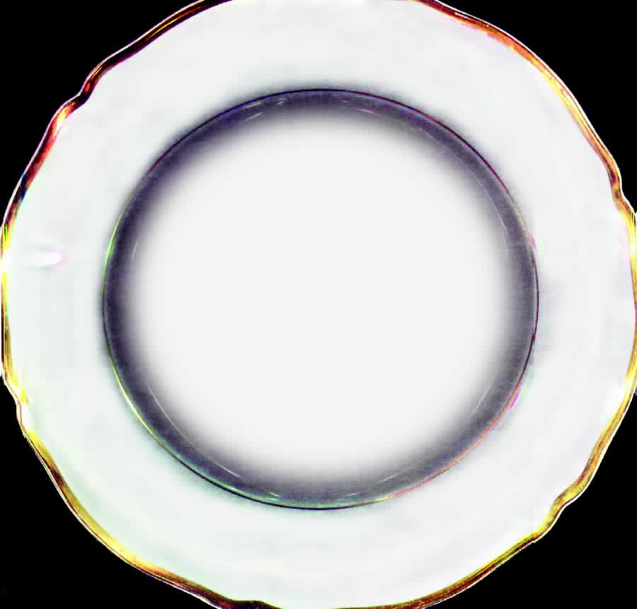 HUT560 Dinner Plate by Hutschenreuther-1