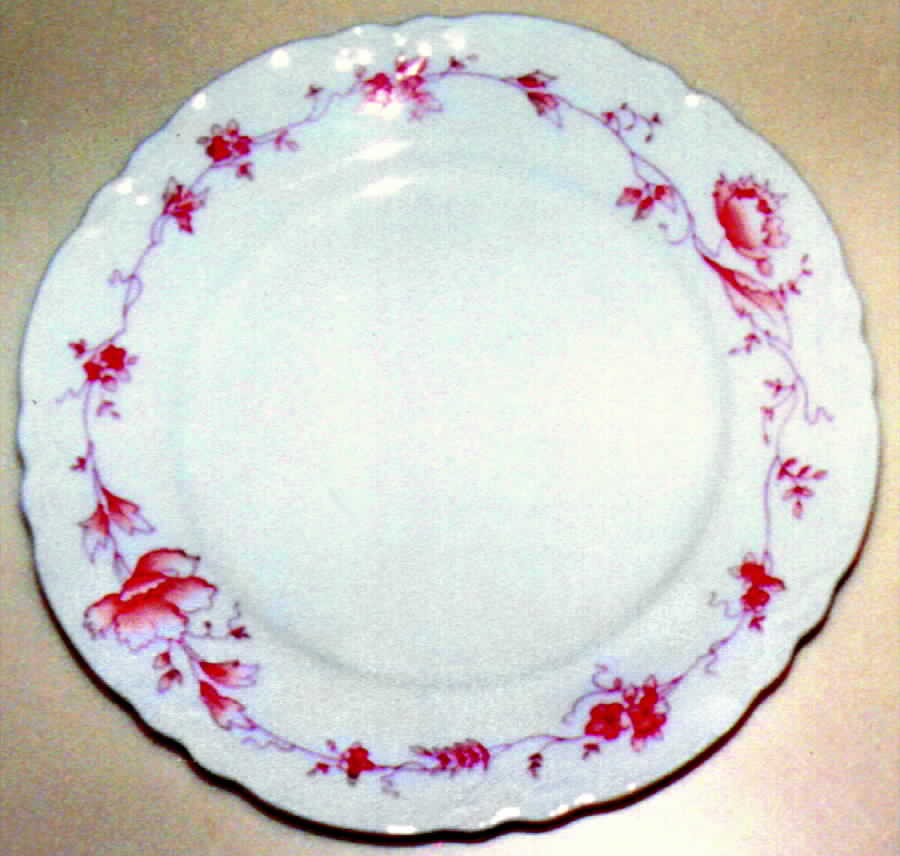 HUT566 Dinner Plate by Hutschenreuther-1