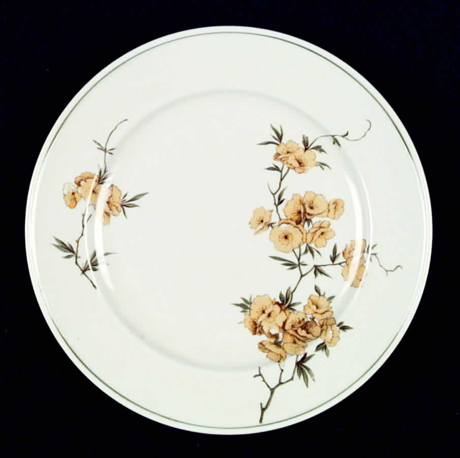 HUT568 Salad Plate by Hutschenreuther-1