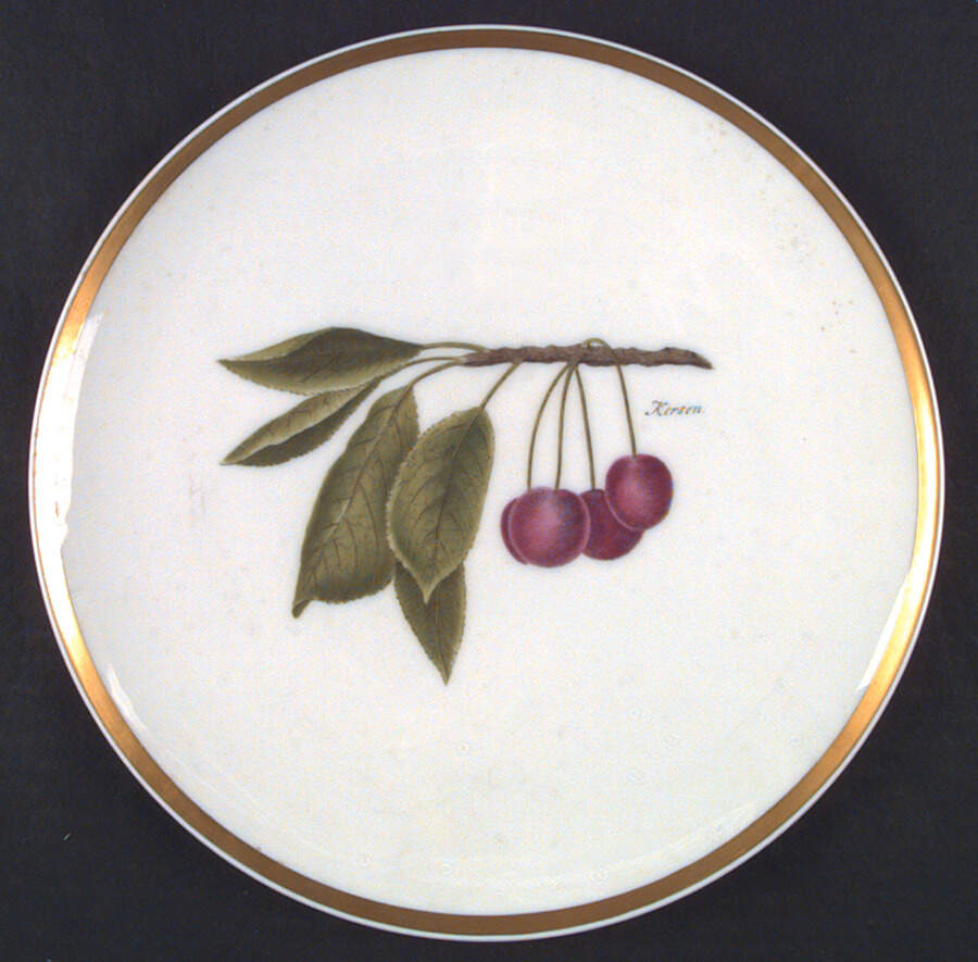 HUT75 Dinner Plate by Hutschenreuther-1