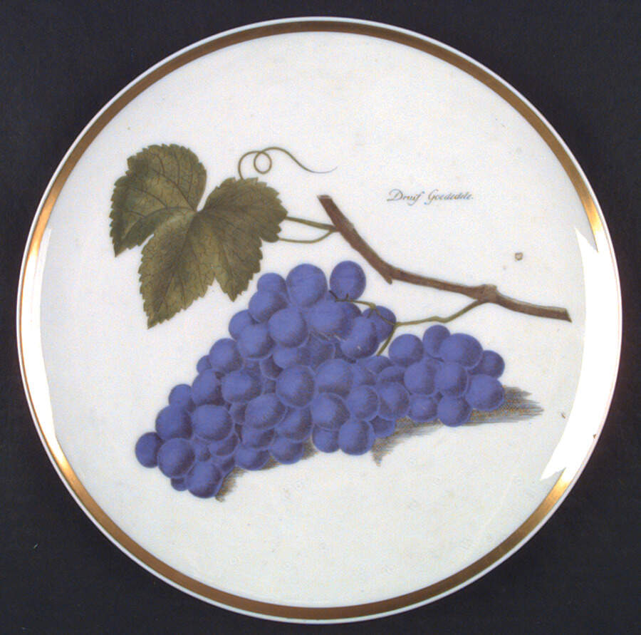 HUT75 Dinner Plate by Hutschenreuther-1