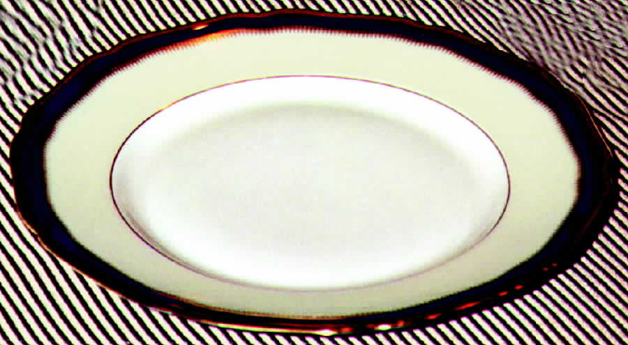 HUT81 Dinner Plate by Hutschenreuther-1
