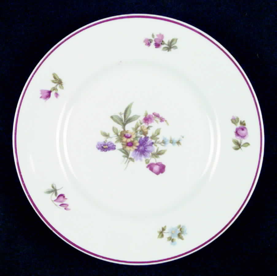 HUT95 Bread & Butter Plate by Hutschenreuther-1