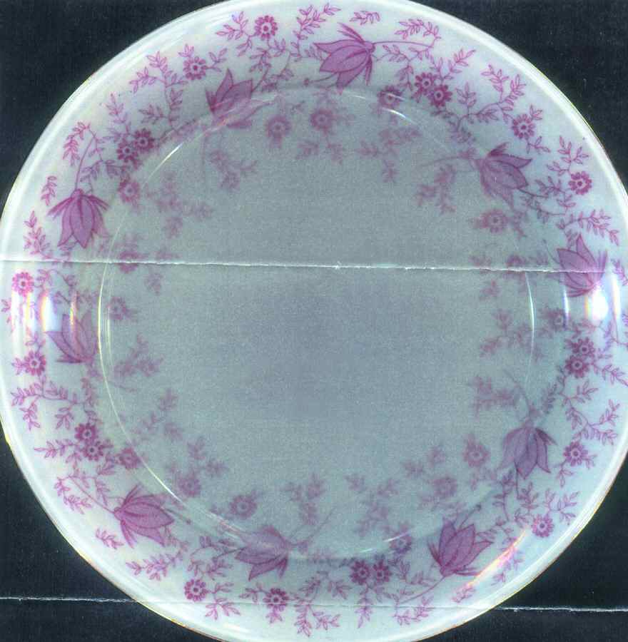 Iris Salad Plate by Hutschenreuther-1