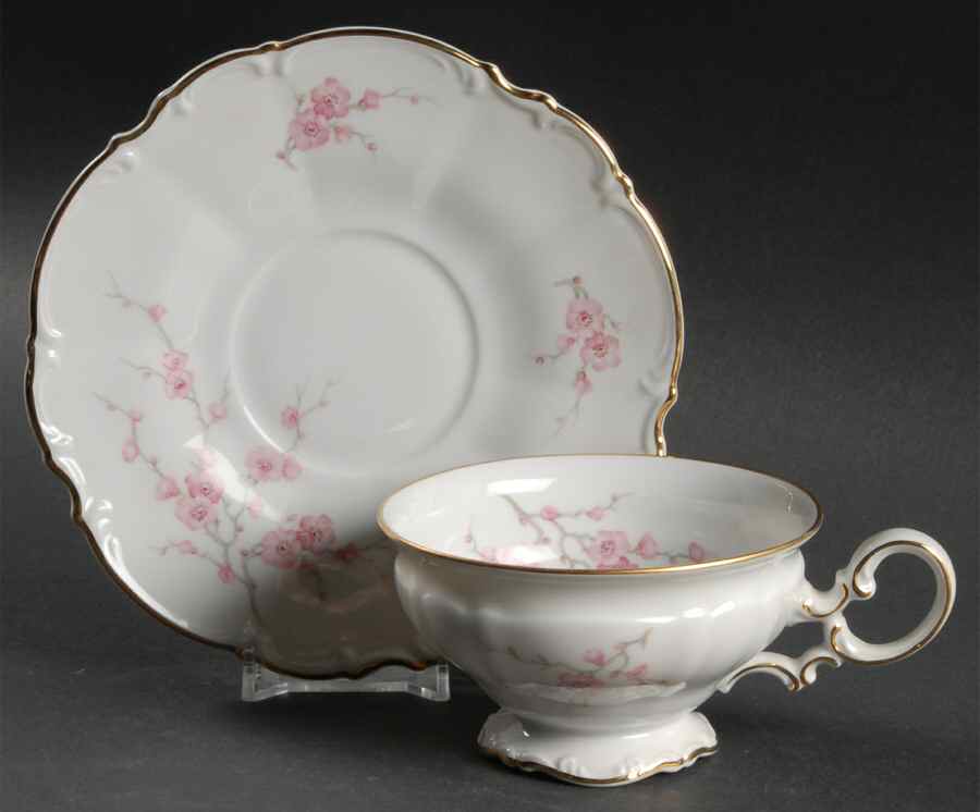 Japanese Blossom Footed Cup & Saucer Set by Hutschenreuther-1