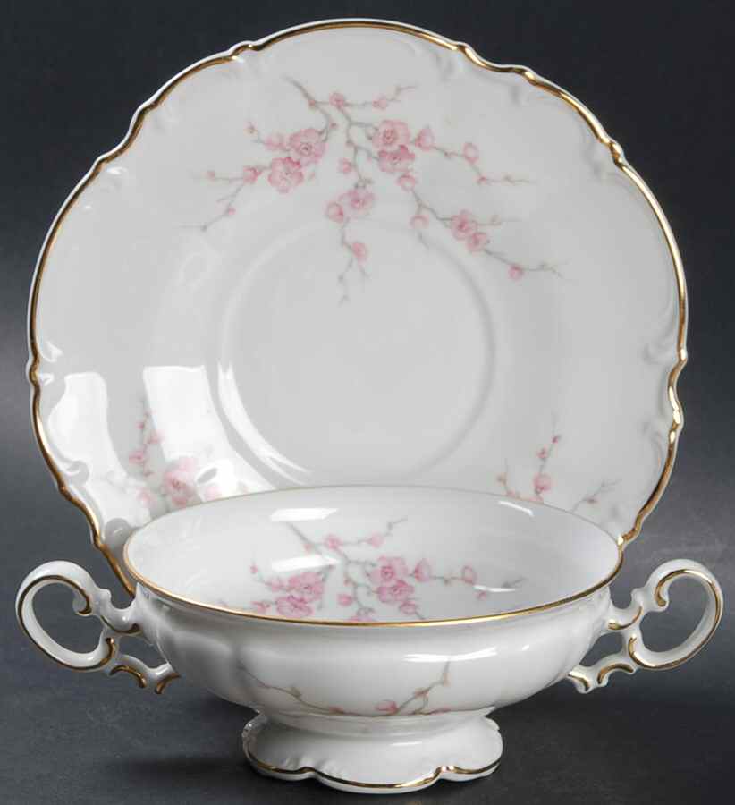 Japanese Blossom Footed Cream Soup Bowl & Saucer Set by Hutschenreuther-1