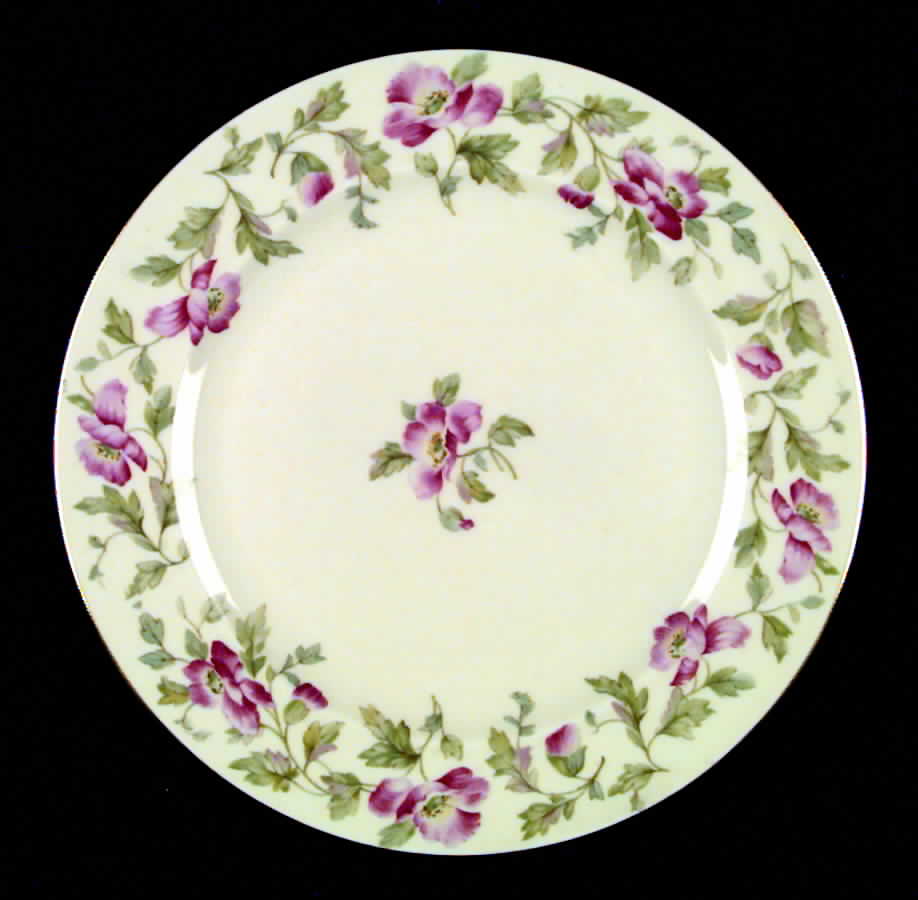 The Linwood Dinner Plate by Hutschenreuther-1