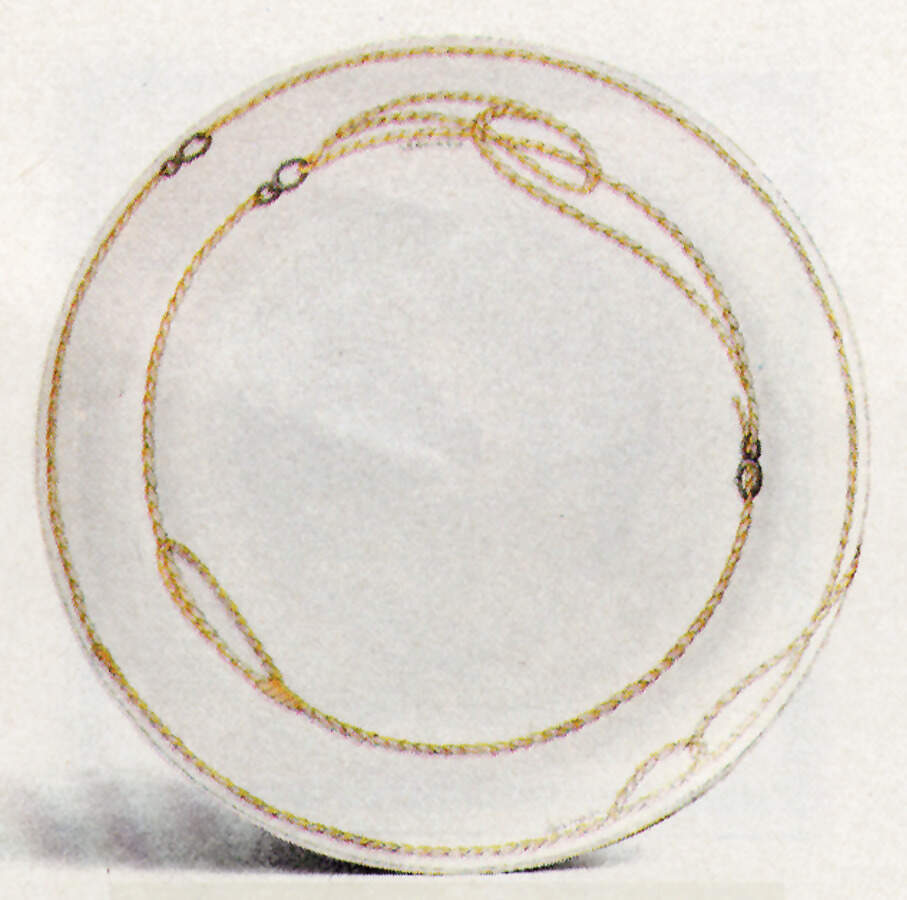Marittima Dinner Plate by Hutschenreuther-1