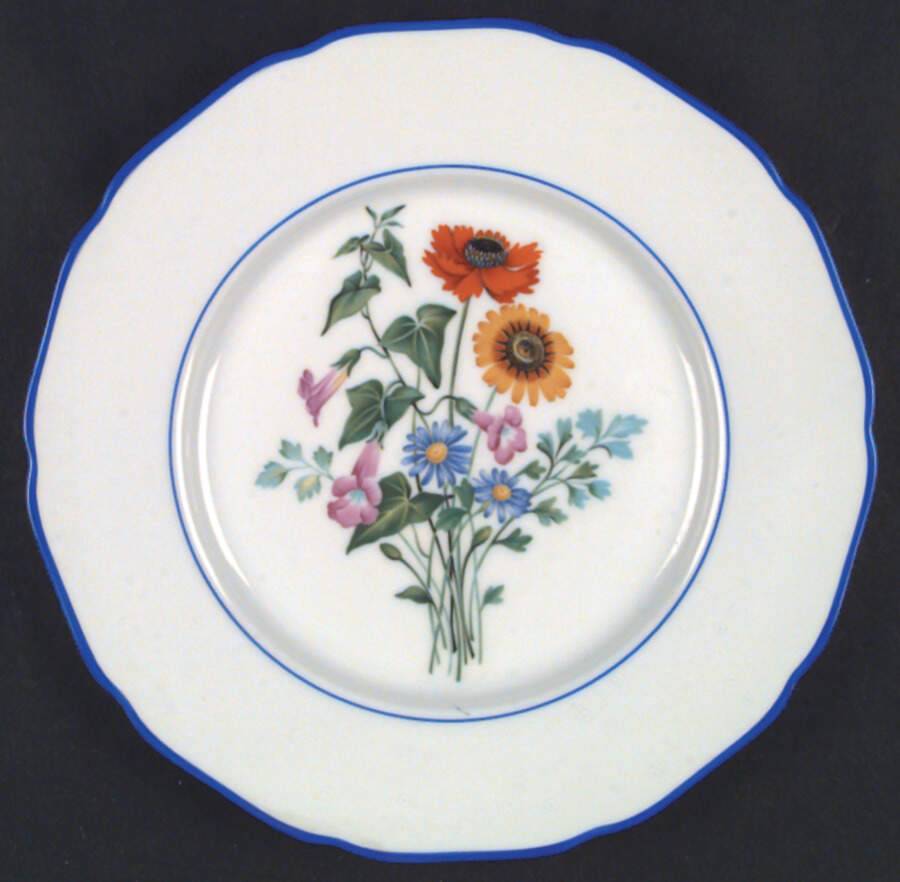 Meadowbrook (Newer, Blue Trim) Dinner Plate by Hutschenreuther-1