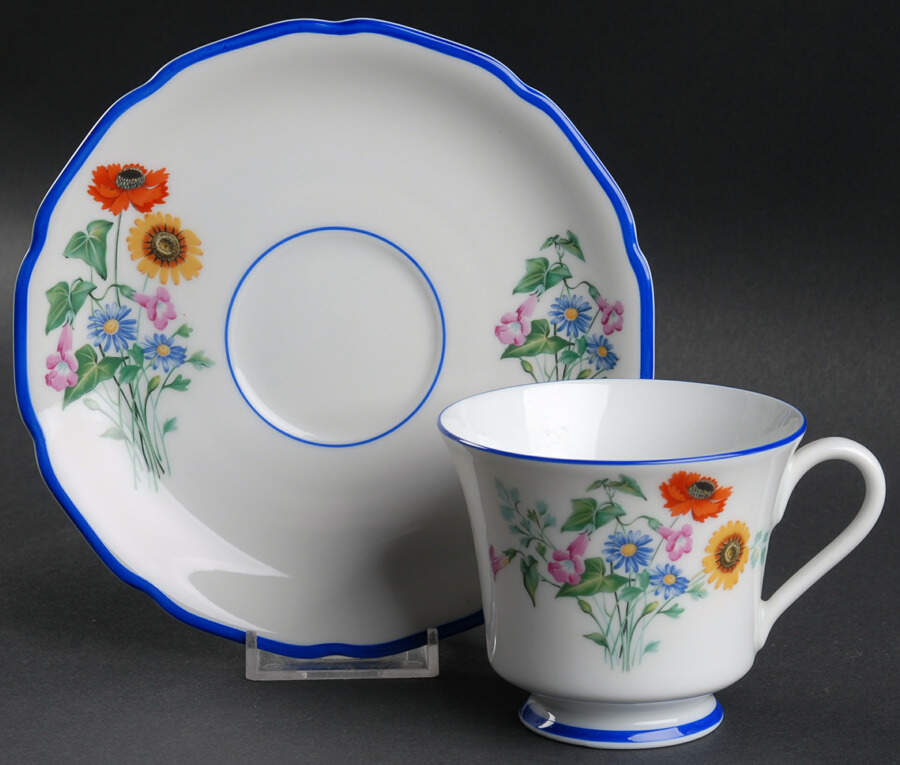 Meadowbrook (Newer, Blue Trim) Footed Cup & Saucer Set by Hutschenreuther-1