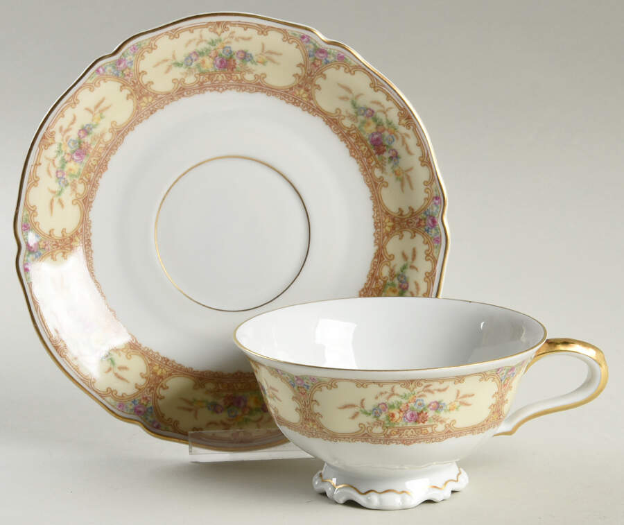 The Meadowbrook Footed Cup & Saucer Set by Hutschenreuther-1