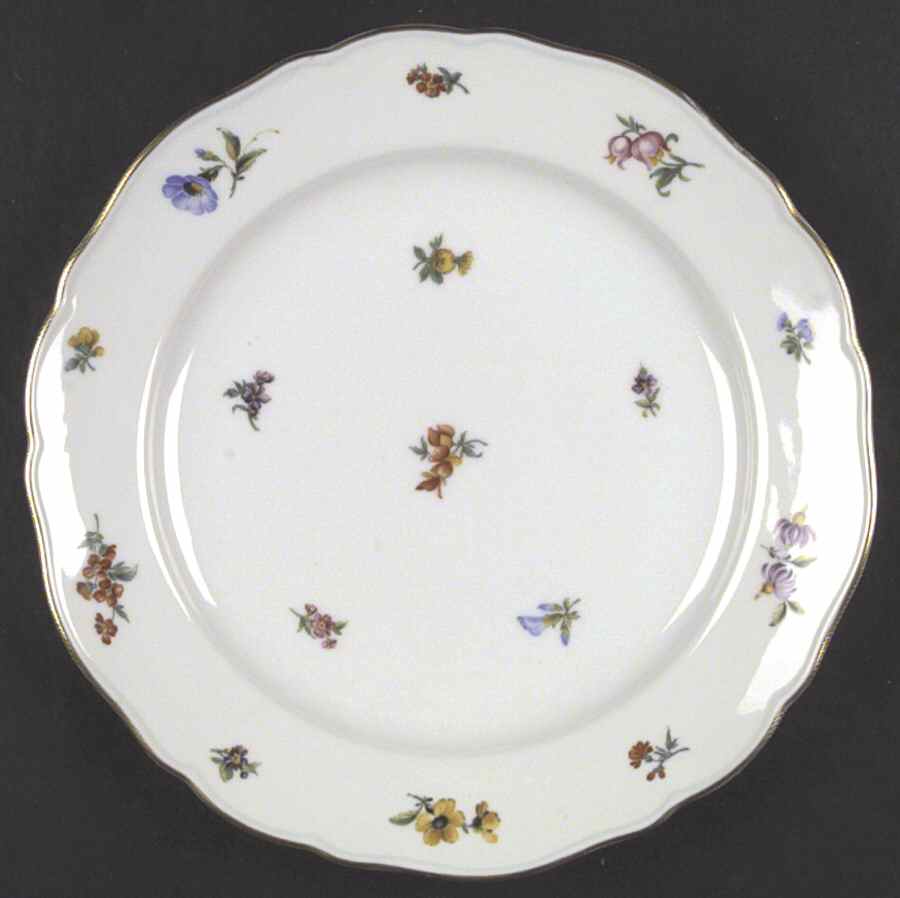 Mirabell Large Dinner Plate by Hutschenreuther-1