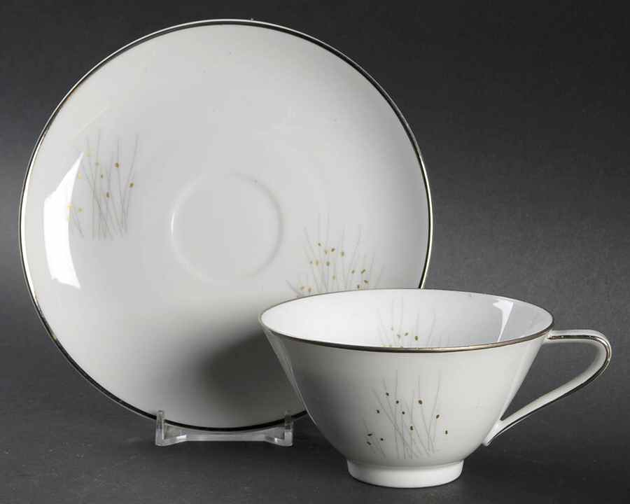 Norderney (Platinum Trim) Footed Cup & Saucer Set by Hutschenreuther-1