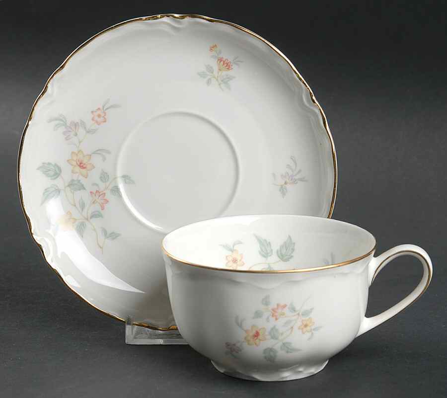 The Old Charleston Flat Cup & Saucer Set by Hutschenreuther-1
