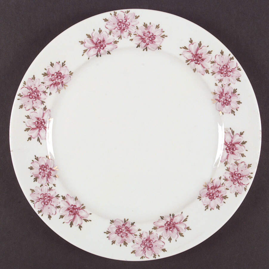 Pink Lady Dinner Plate by Hutschenreuther-1