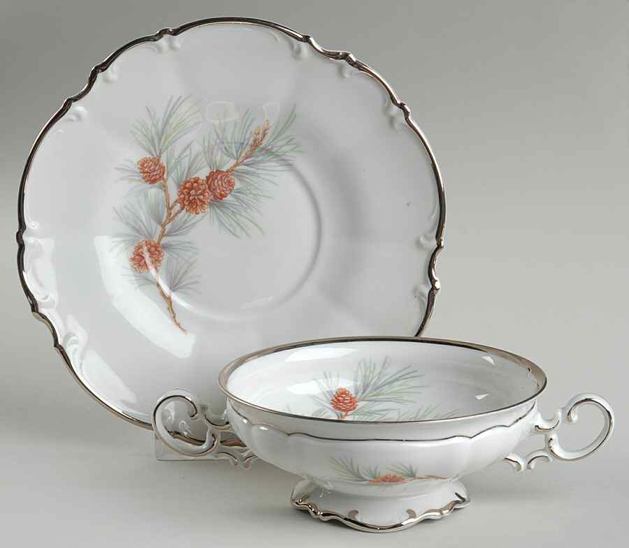 The Pine Footed Cream Soup Bowl & Saucer Set by Hutschenreuther-1