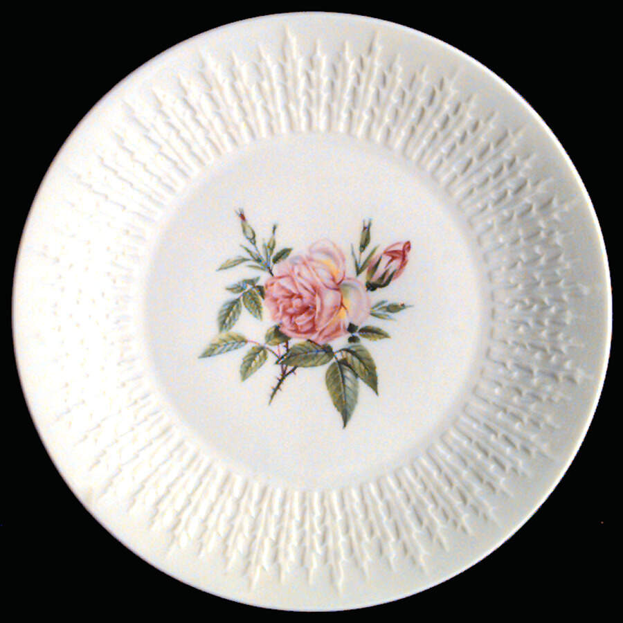Rosita Dinner Plate by Hutschenreuther-1