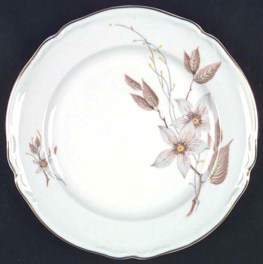 Saxony Dinner Plate by Hutschenreuther-1