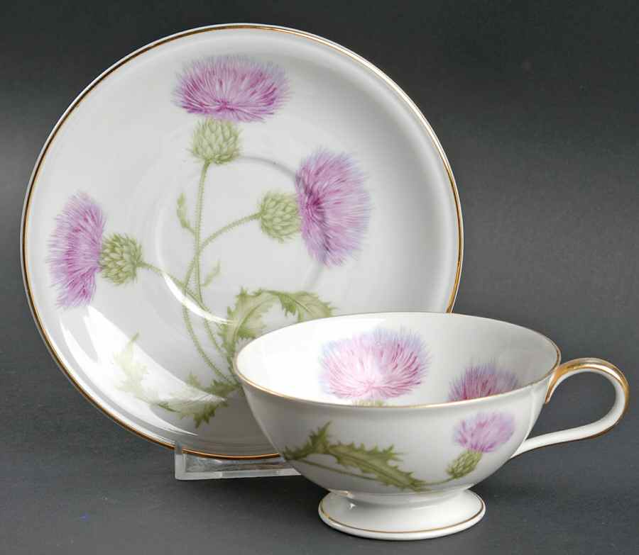 Scotch Thistle Footed Cup & Saucer Set by Hutschenreuther-1