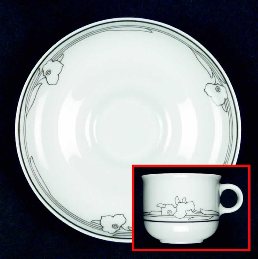 Sienna II Flat Cup & Saucer Set by Hutschenreuther-1