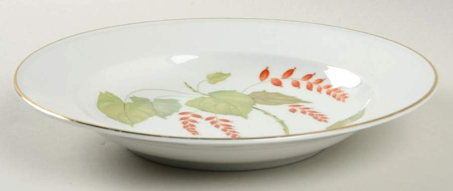 The Silver Poplar Rim Soup Bowl by Hutschenreuther-1