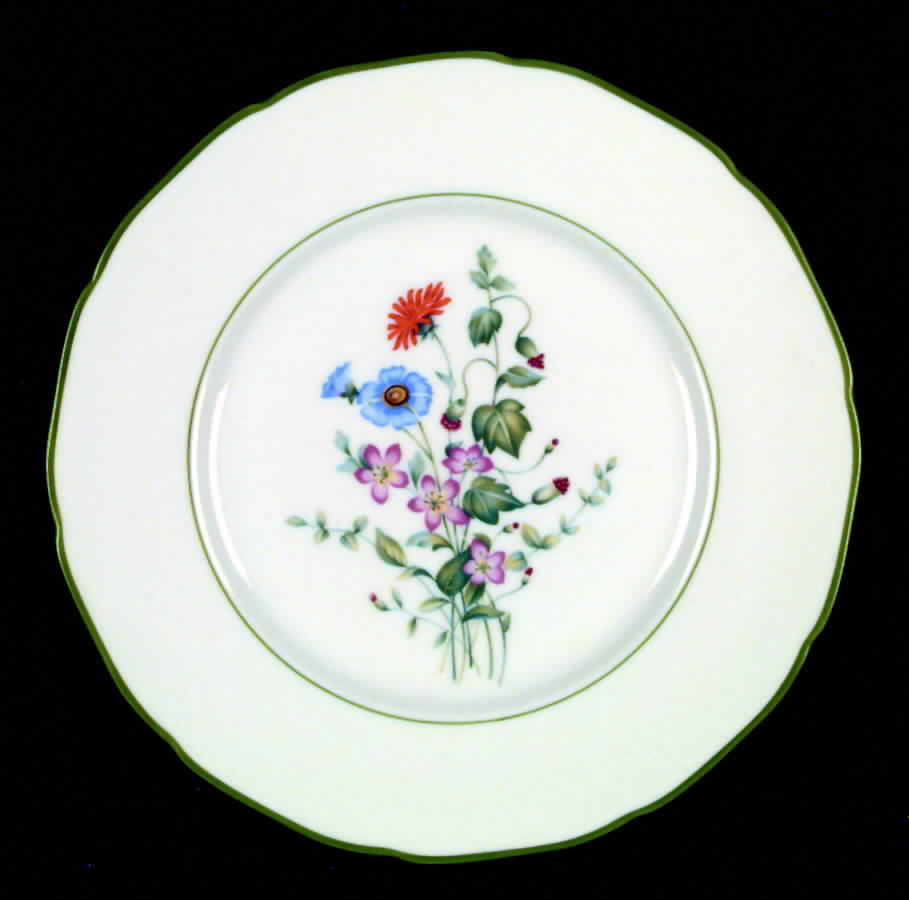 Springbrook Dinner Plate by Hutschenreuther-1