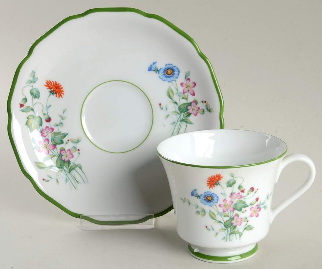 Springbrook Footed Cup & Saucer Set by Hutschenreuther-1