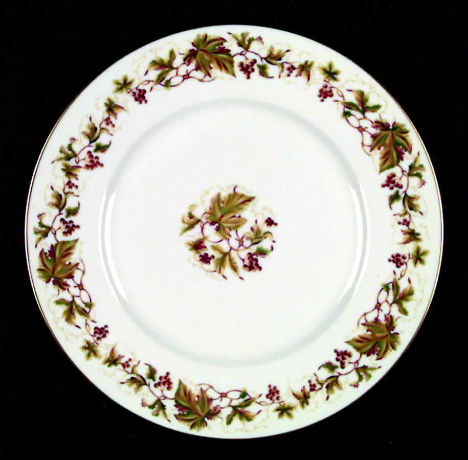 Trailing Vine Dinner Plate by Hutschenreuther-1