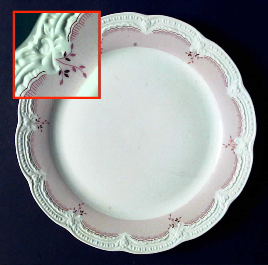 Verbena Dinner Plate by Hutschenreuther-1