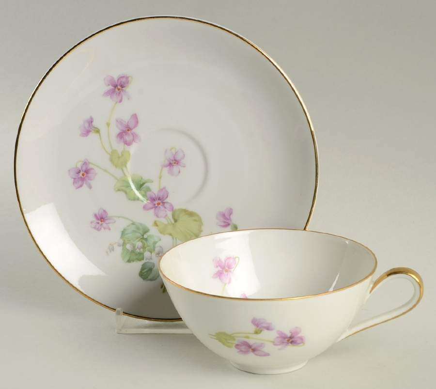 Violet (Rim Shape) Flat Cup & Saucer Set by Hutschenreuther-1
