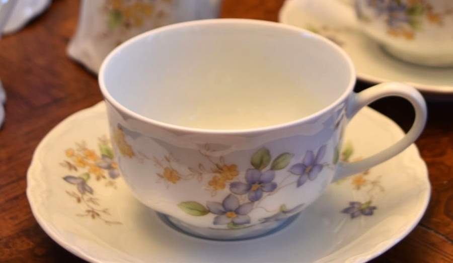 Violetta Flat Cup & Saucer Set by Hutschenreuther-1