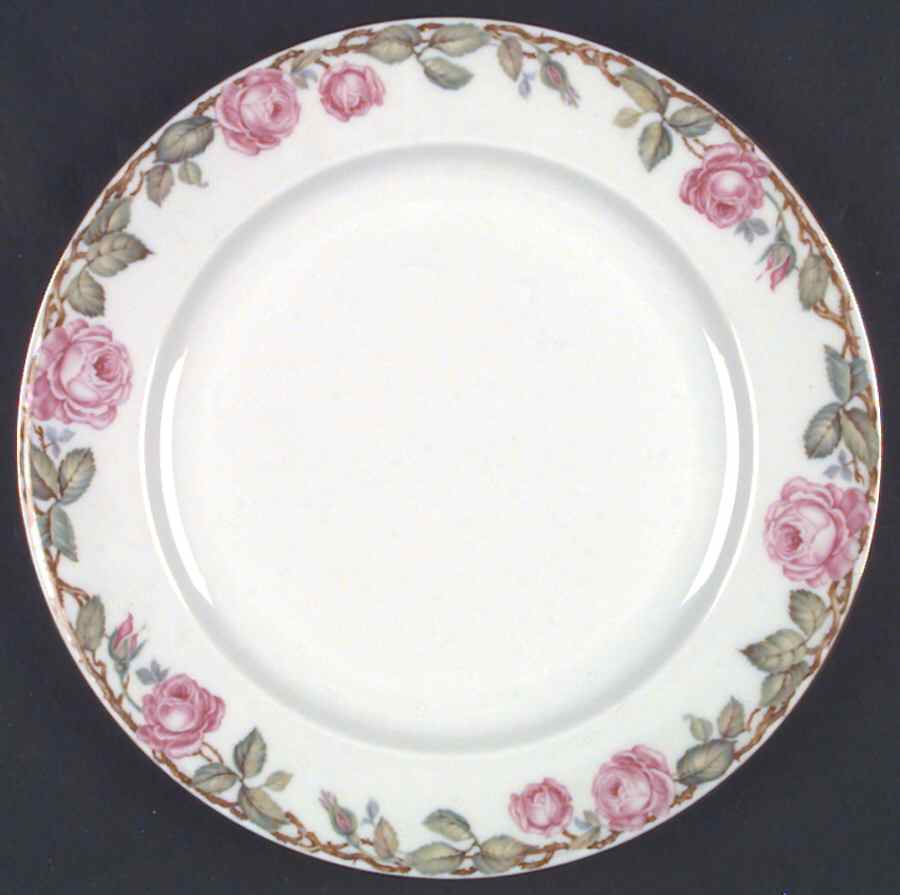 The Wakefield Dinner Plate by Hutschenreuther-1