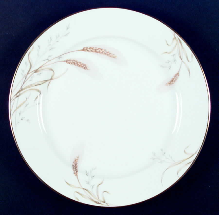 Wheaton Dinner Plate by Hutschenreuther-1