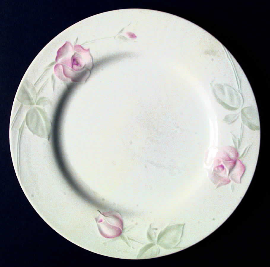 Rose Blush Dinner Plate by Home Beautiful-1