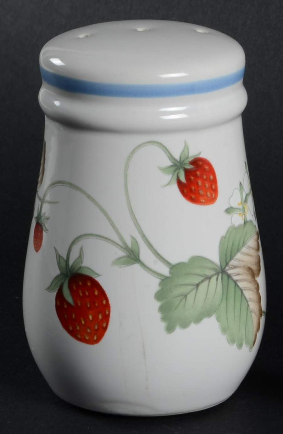 Tempting Salt Shaker by Home Beautiful-1