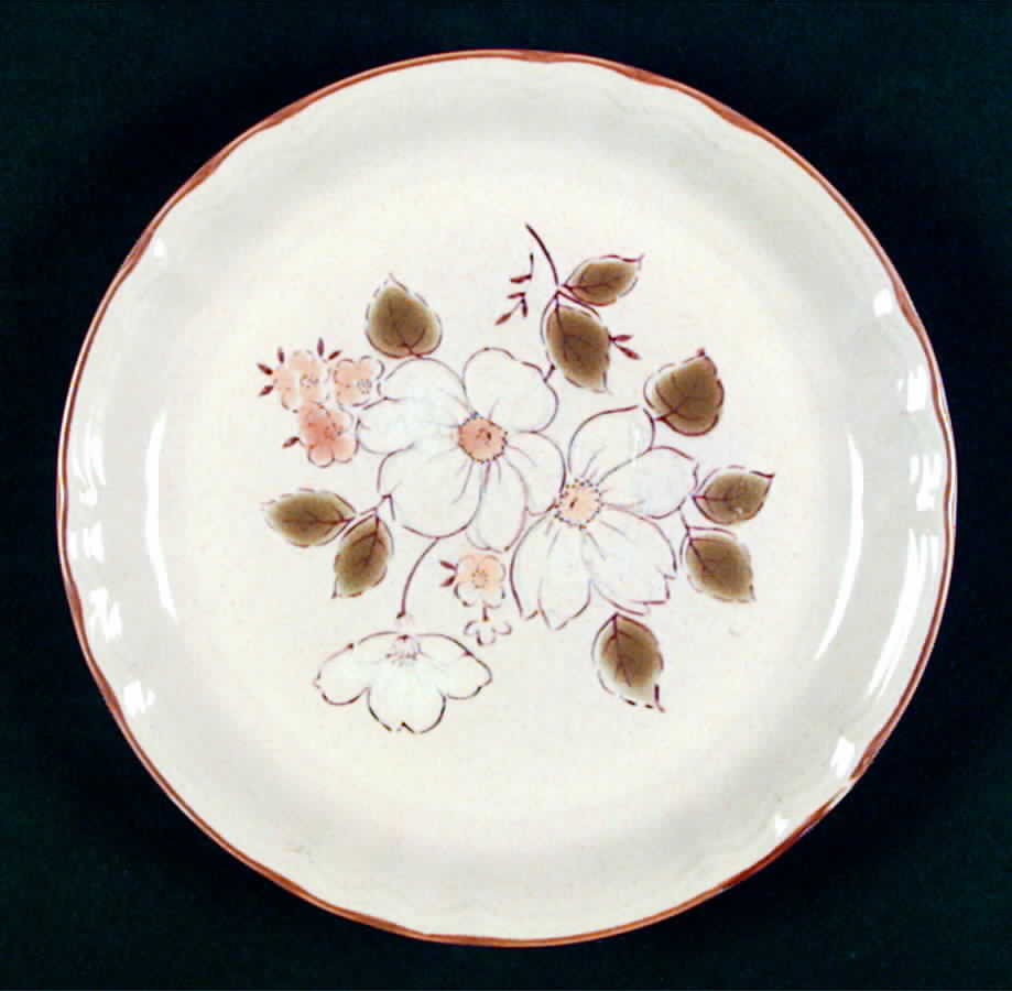 Trilogy Salad Plate by Home Beautiful-1