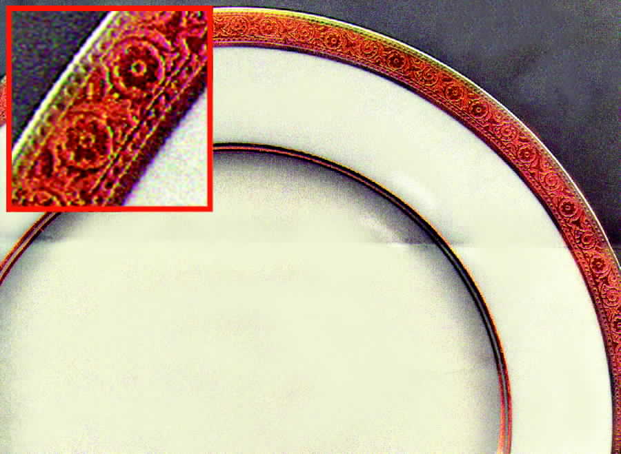 H576 Dinner Plate by Haviland-1