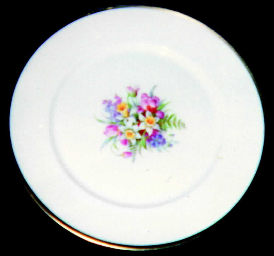 HWC1 Dinner Plate by HW (Germany, Czech)-1