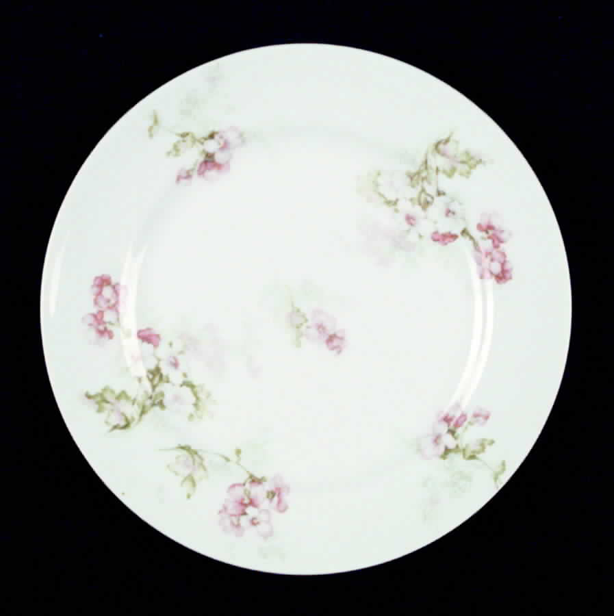 H597 Bread & Butter Plate by Haviland-1