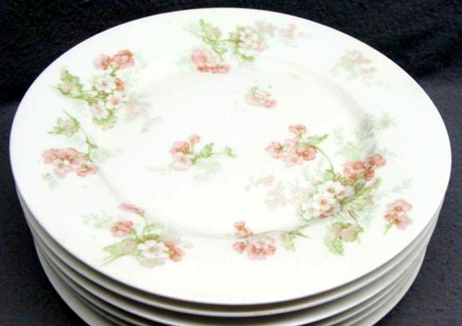 H597 Dinner Plate by Haviland-1