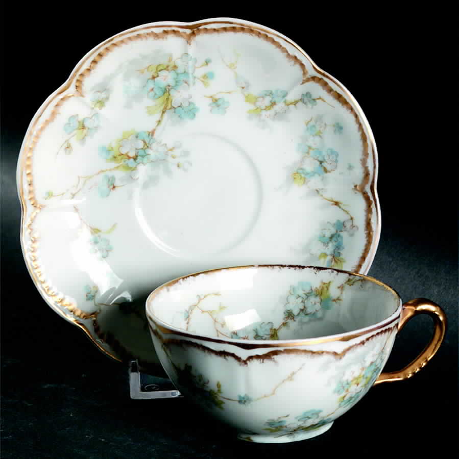 Schleiger 248p Flat Demitasse Cup & Saucer Set by Haviland-1