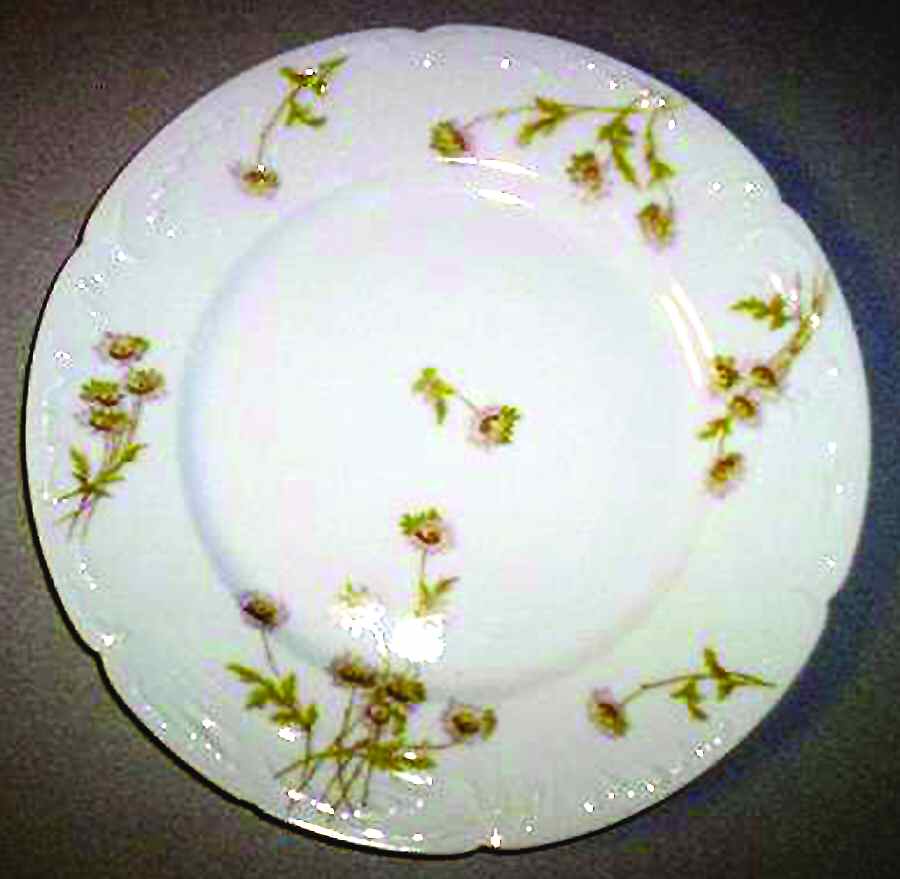Schleiger 164-5 Dinner Plate by Haviland-1