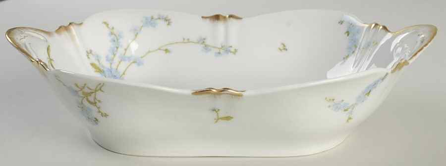 H2832 10" Oval Vegetable Bowl by Haviland-1