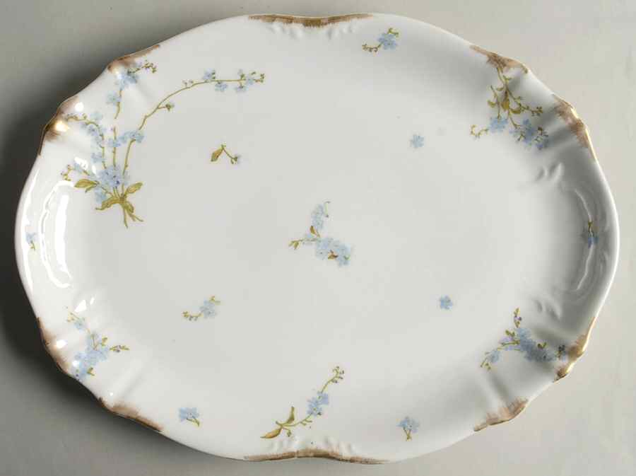 H2832 11" Oval Serving Platter by Haviland-1