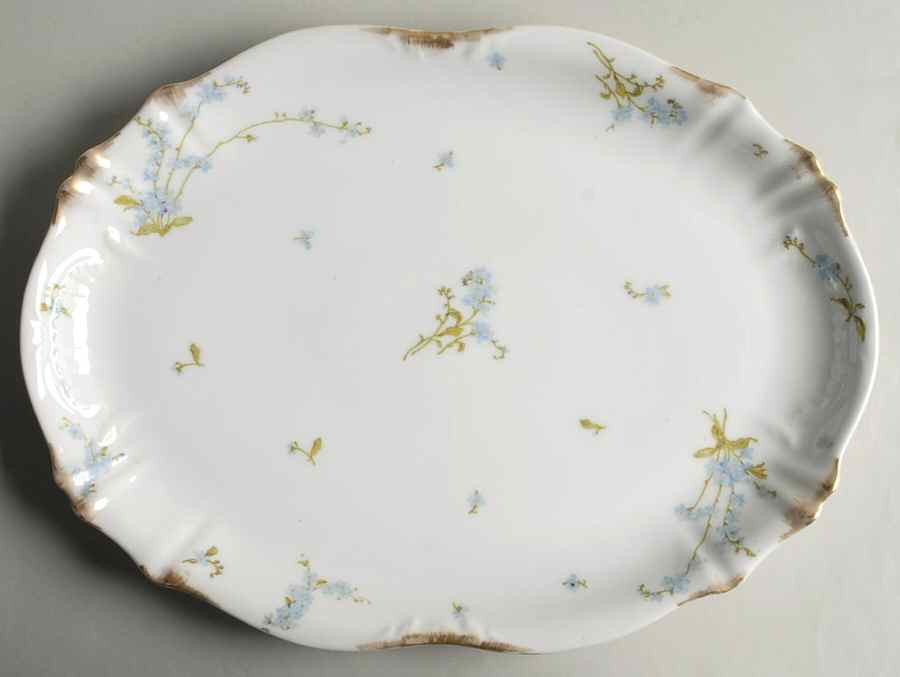 H2832 13" Oval Serving Platter by Haviland-1